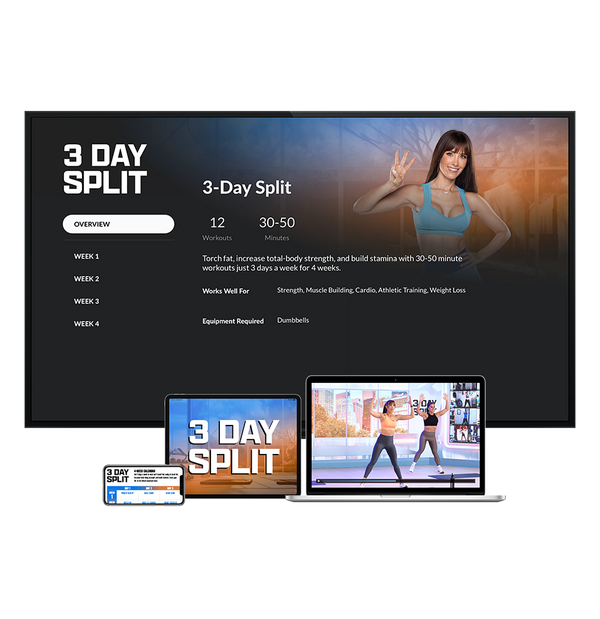 3 Day Split Digital Purchase
