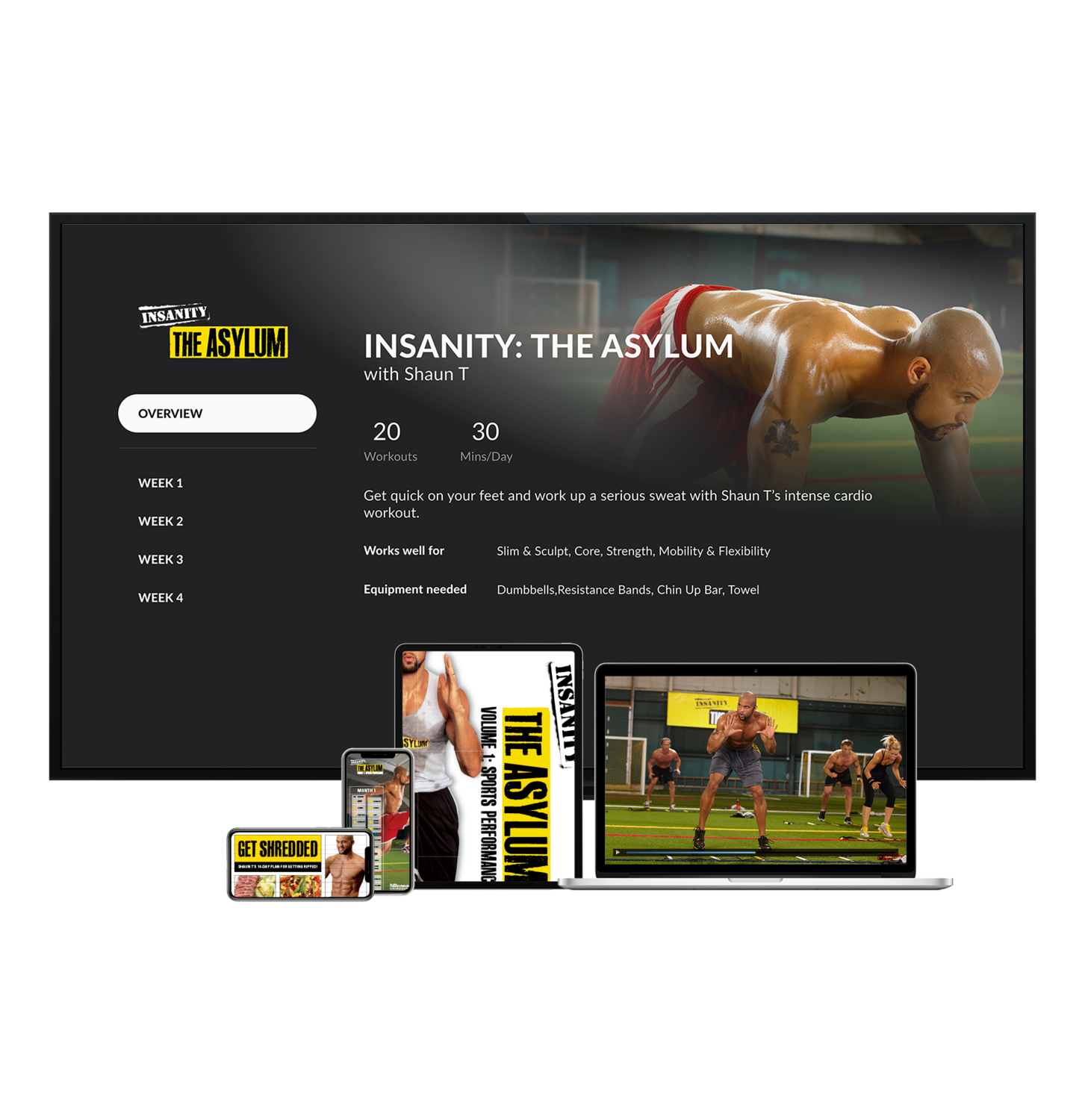 INSANITY Asylum Digital Purchase