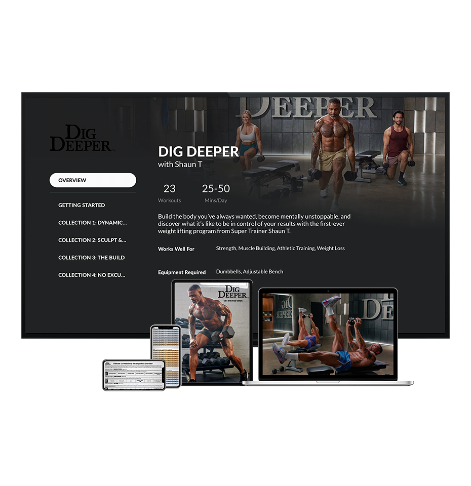 Dig Deeper Digital Purchase